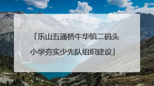 乐山五通桥牛华镇二码头小学夯实少先队组织建设