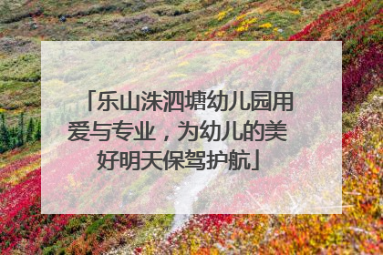 乐山洙泗塘幼儿园用爱与专业，为幼儿的美好明天保驾护航
