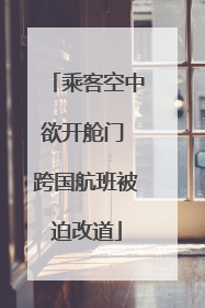 乘客空中欲开舱门 跨国航班被迫改道