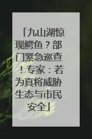九山湖惊现鳄鱼？部门紧急巡查！专家：若为真将威胁生态与市民安全