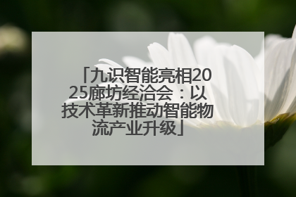 九识智能亮相2025廊坊经洽会：以技术革新推动智能物流产业升级