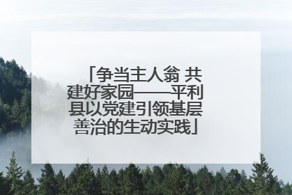 争当主人翁 共建好家园——平利县以党建引领基层善治的生动实践