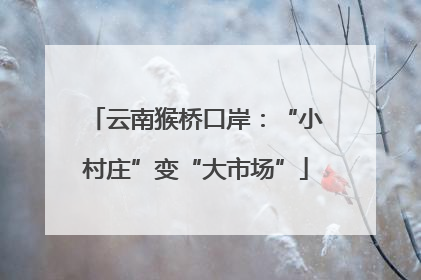 云南猴桥口岸：“小村庄”变“大市场”