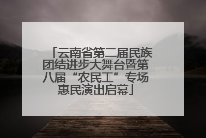 云南省第二届民族团结进步大舞台暨第八届“农民工”专场惠民演出启幕
