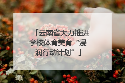 云南省大力推进学校体育美育“浸润行动计划”