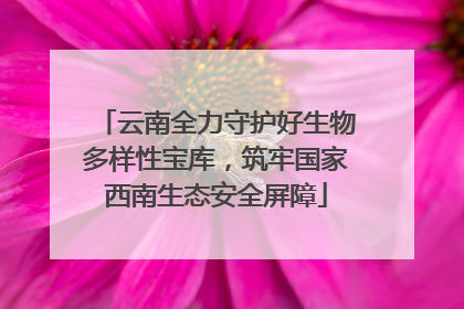 云南全力守护好生物多样性宝库，筑牢国家西南生态安全屏障