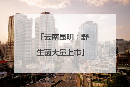 云南昆明：野生菌大量上市