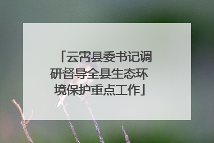 云霄县委书记调研督导全县生态环境保护重点工作