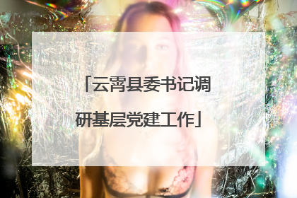 云霄县委书记调研基层党建工作