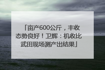 亩产600公斤，丰收态势良好！卫辉：机收比武田现场测产出结果