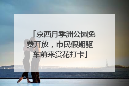 京西月季洲公园免费开放，市民假期驱车前来赏花打卡
