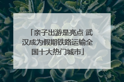 亲子出游是亮点 武汉成为假期铁路运输全国十大热门城市