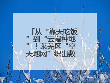 从“靠天吃饭”到“云端种地”！莱芜区“空天地网”织出数字农业新图景