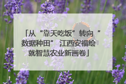从“靠天吃饭”转向“数据种田” 江西安福绘就智慧农业新画卷