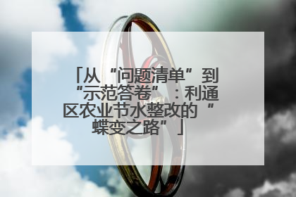 从“问题清单”到“示范答卷”：利通区农业节水整改的“蝶变之路”