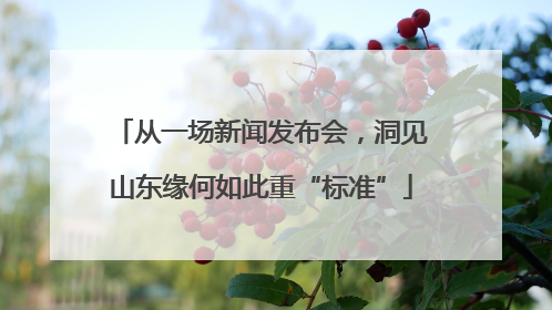 从一场新闻发布会，洞见山东缘何如此重“标准”