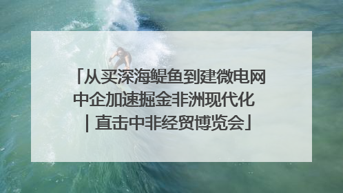 从买深海鳀鱼到建微电网 中企加速掘金非洲现代化｜直击中非经贸博览会