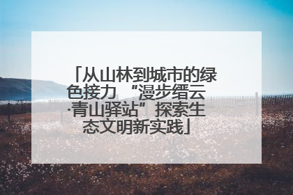 从山林到城市的绿色接力 “漫步缙云·青山驿站”探索生态文明新实践