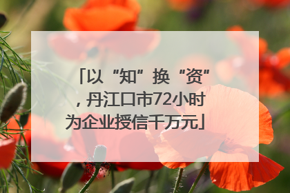 以“知”换“资”，丹江口市72小时为企业授信千万元