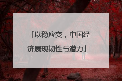 以稳应变，中国经济展现韧性与潜力