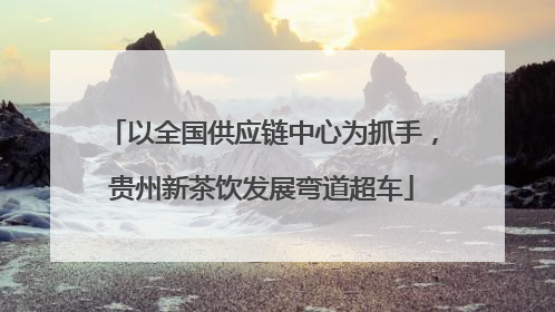 以全国供应链中心为抓手，贵州新茶饮发展弯道超车