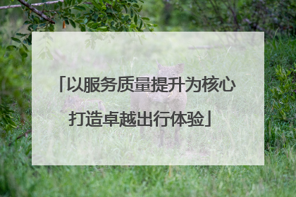 以服务质量提升为核心 打造卓越出行体验