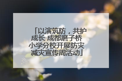 以演筑防，共护成长 成都磨子桥小学分校开展防灾减灾宣传周活动
