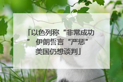 以色列称“非常成功” 伊朗誓言“严惩” 美国仍想谈判