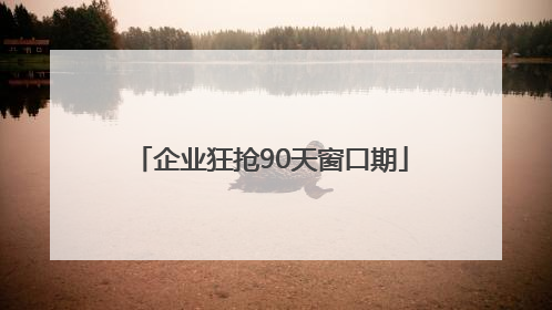 企业狂抢90天窗口期