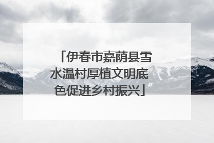 伊春市嘉荫县雪水温村厚植文明底色促进乡村振兴