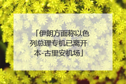 伊朗方面称以色列总理专机已离开本-古里安机场