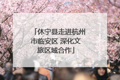 休宁县走进杭州市临安区 深化文旅区域合作