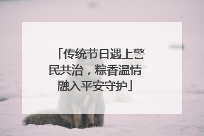传统节日遇上警民共治，粽香温情融入平安守护