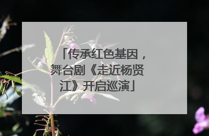传承红色基因，舞台剧《走近杨贤江》开启巡演