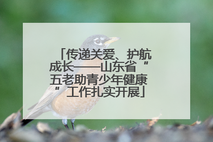 传递关爱、护航成长——山东省“五老助青少年健康”工作扎实开展