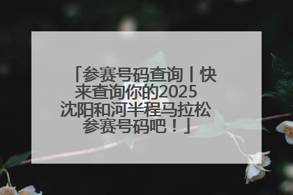 参赛号码查询丨快来查询你的2025沈阳和河半程马拉松参赛号码吧！