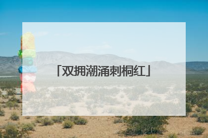 双拥潮涌刺桐红