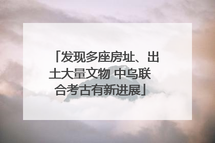 发现多座房址、出土大量文物 中乌联合考古有新进展
