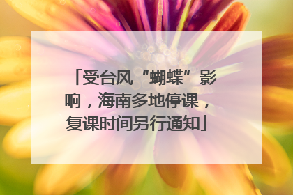 受台风“蝴蝶”影响，海南多地停课，复课时间另行通知