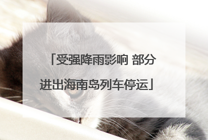 受强降雨影响 部分进出海南岛列车停运