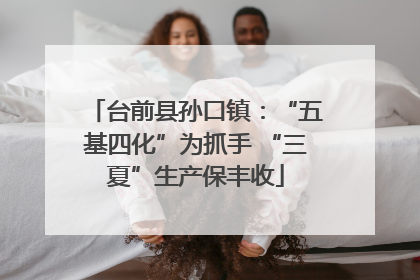 台前县孙口镇：“五基四化”为抓手 “三夏”生产保丰收
