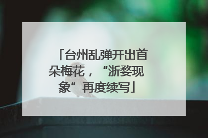 台州乱弹开出首朵梅花，“浙婺现象”再度续写