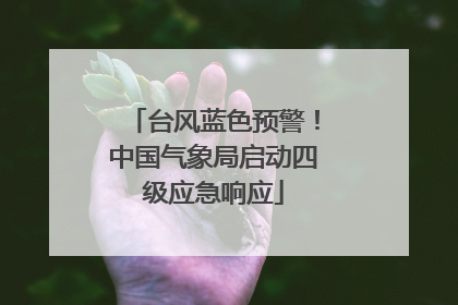 台风蓝色预警！中国气象局启动四级应急响应