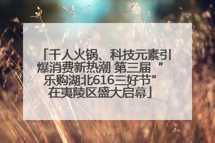 千人火锅、科技元素引爆消费新热潮 第三届“乐购湖北616三好节”在夷陵区盛大启幕