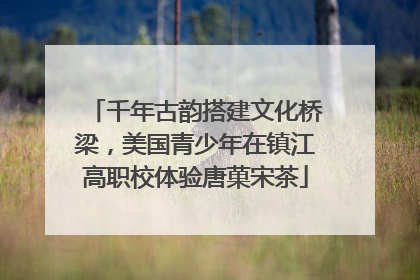 千年古韵搭建文化桥梁，美国青少年在镇江高职校体验唐菓宋茶