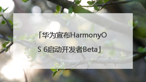 华为宣布HarmonyOS 6启动开发者Beta