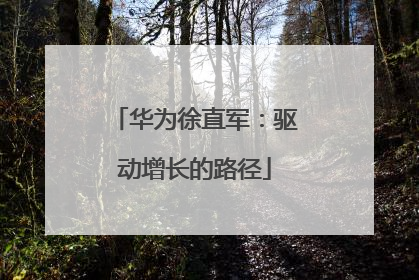 华为徐直军：驱动增长的路径