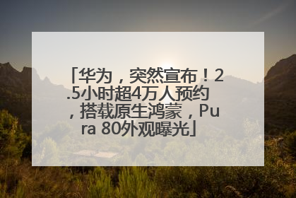 华为，突然宣布！2.5小时超4万人预约，搭载原生鸿蒙，Pura 80外观曝光