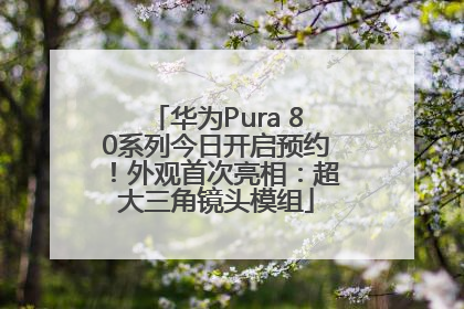 华为Pura 80系列今日开启预约！外观首次亮相：超大三角镜头模组
