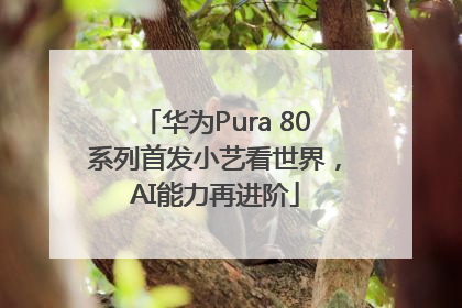 华为Pura 80系列首发小艺看世界，AI能力再进阶
